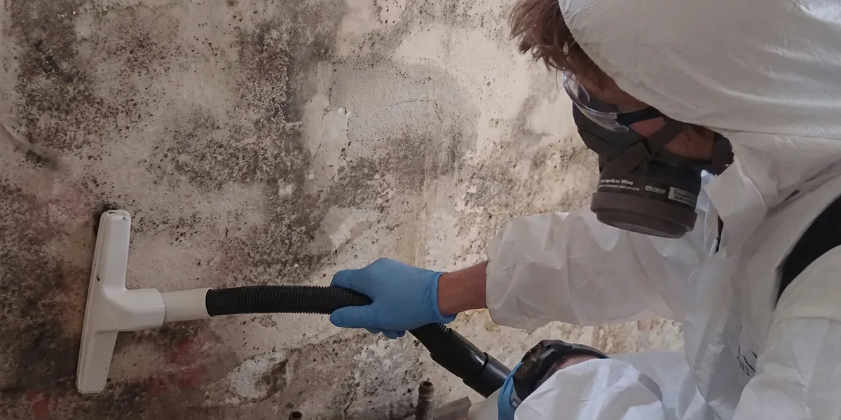 professional mold removal technician wearing protective equipment removing mold from a wall in Evansville, IN